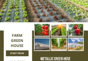 607We will establish a metallic green house on your farm with highquality materials